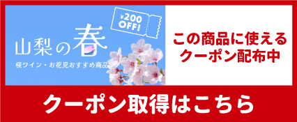 クーポン配布中山梨百貨店