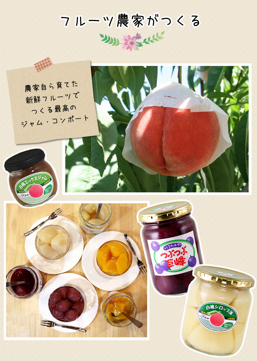 選択 桃生産者の桃のコンポート 清水白桃 ecodieselcolombiasa.com
