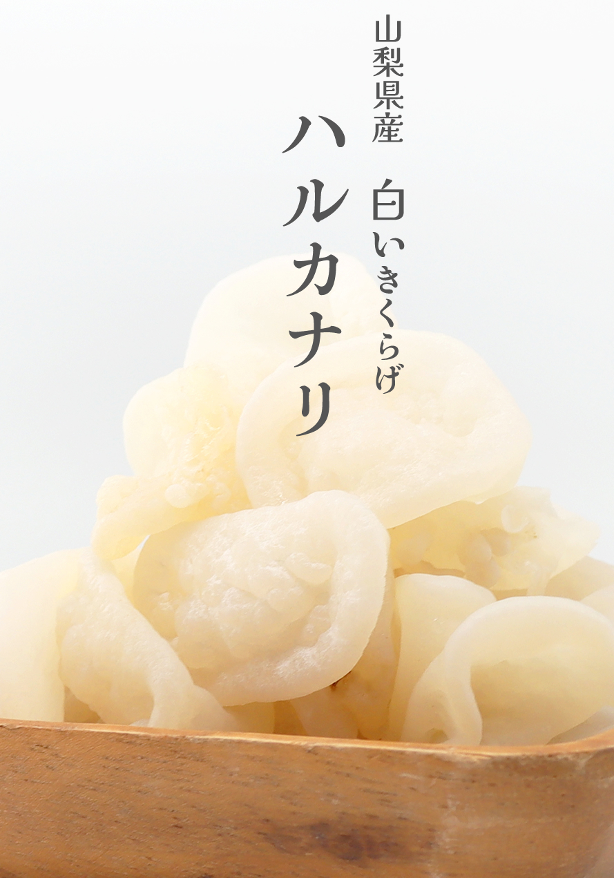 国産 山梨県産 白きくらげ ハルカナリ ウイズアップ