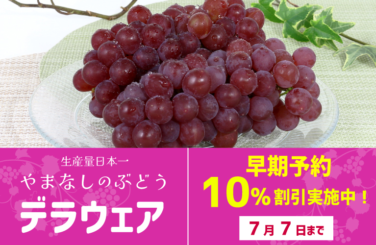 山梨県産 ぶどう デラウェア 小粒ブドウ