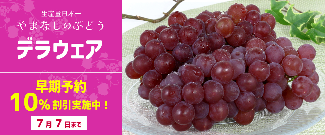 山梨県産 ぶどう デラウェア 小粒ブドウ