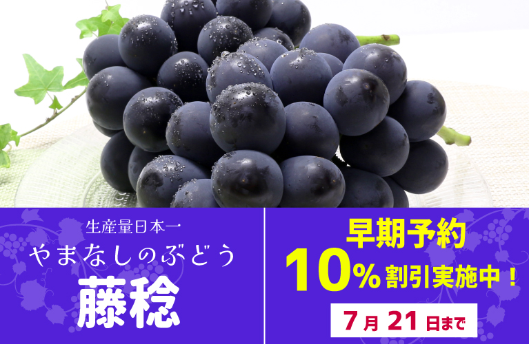 山梨県産 ぶどう 藤稔 ふじみのり