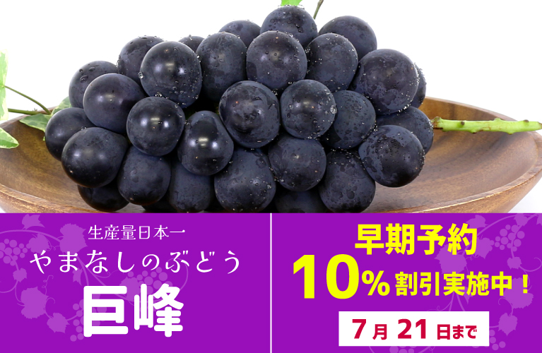 山梨県産 ぶどう 巨峰