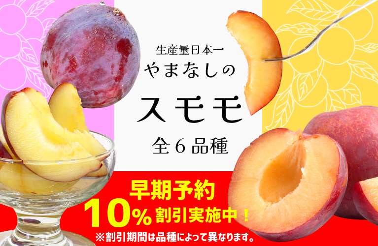 山梨県産 すもも プラム 貴陽 太陽 ソルダム 大石