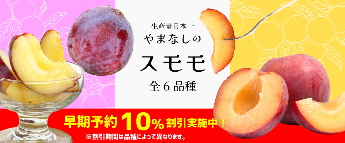 山梨県産 すもも プラム 貴陽 太陽 ソルダム 大石