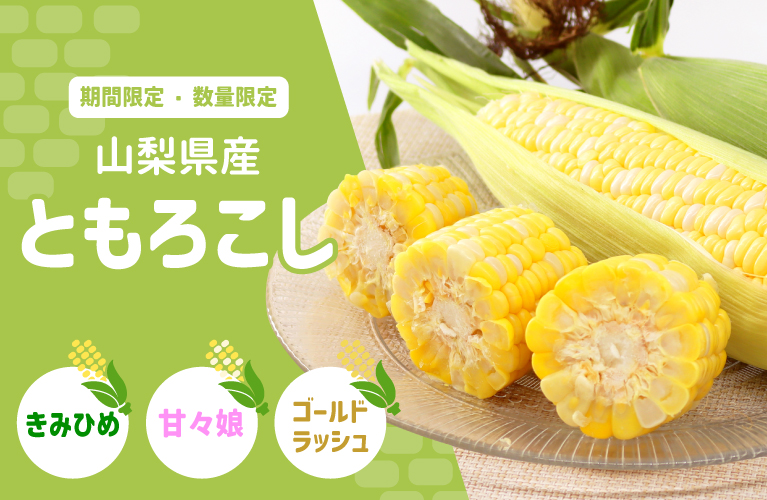 山梨県産 とうもろこし きみひめ 甘々娘 ゴールドラッシュ ヤングコーン 山梨百貨店