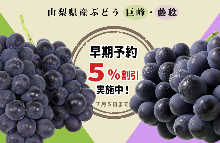 山梨県産 ぶどう 藤稔 巨峰 山梨百貨店