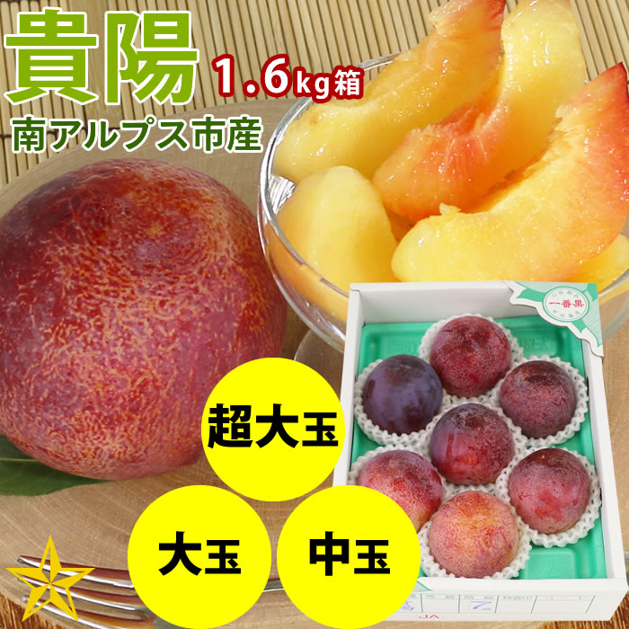 山梨百貨店 / 3,000円～5,000円代