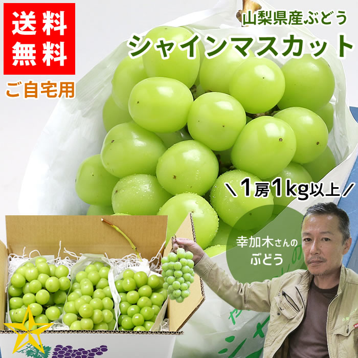 安心してお買い求めい 山梨産 シャインマスカット3kg 4-9房 常温便