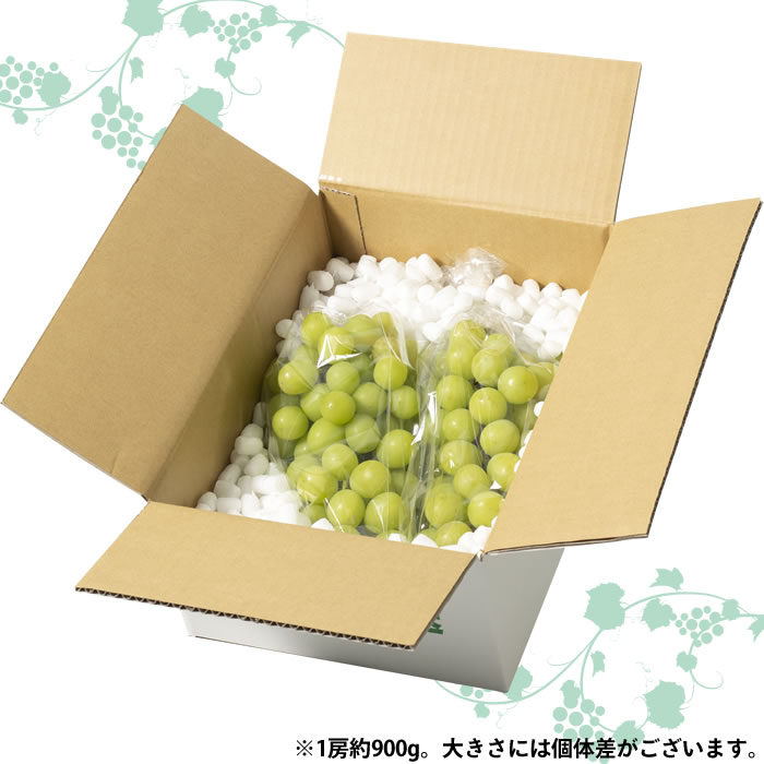 【送料無料】 シャインマスカット 1.8kg箱 (2～3房入り) (1房平均900g) 山梨県 紫玉園 農家直送