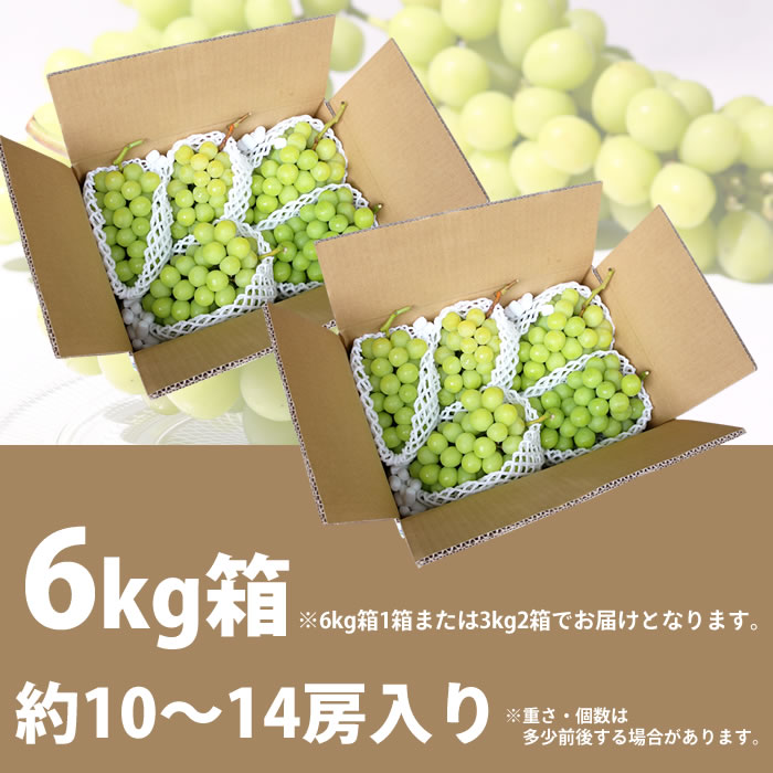 【送料無料】 シャインマスカット 山梨県産 ぶどう 通販 荻野さんのシャインマスカット 農家直送 種なし