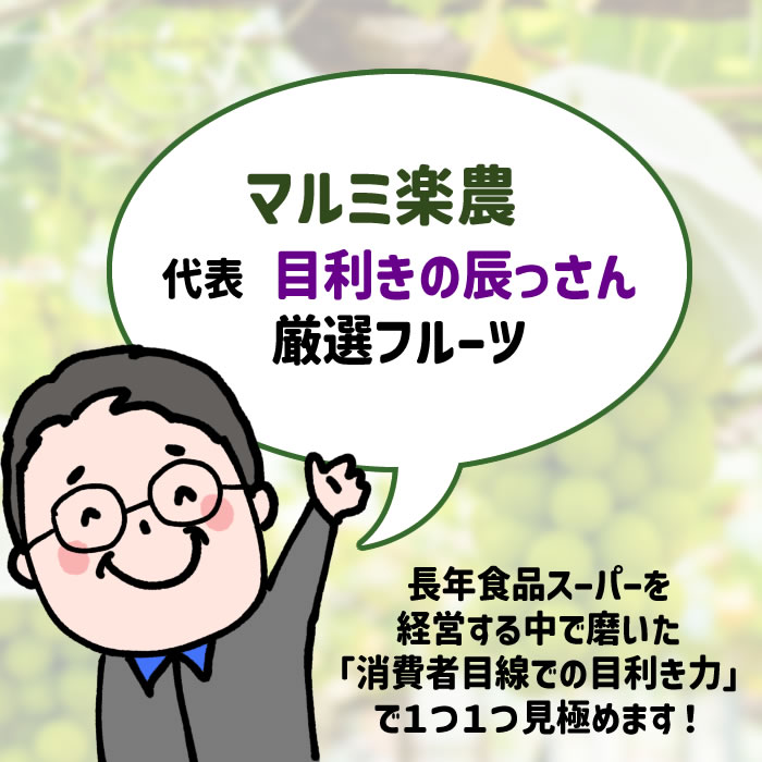 山梨百貨店 / 【送料無料】 巨峰 1.5kg以上箱 (2～3房) ご自宅用